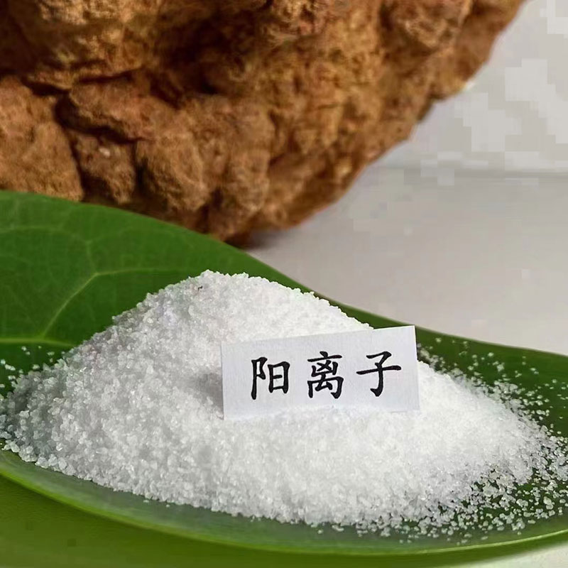 聚丙烯酰胺陽離子